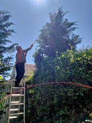 Обрезкасадовых деревьев,  уход за садом  садовник Одеса